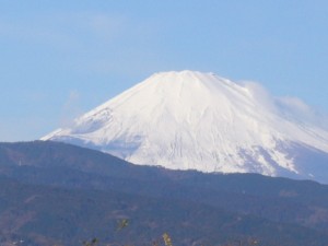 新春の富士山